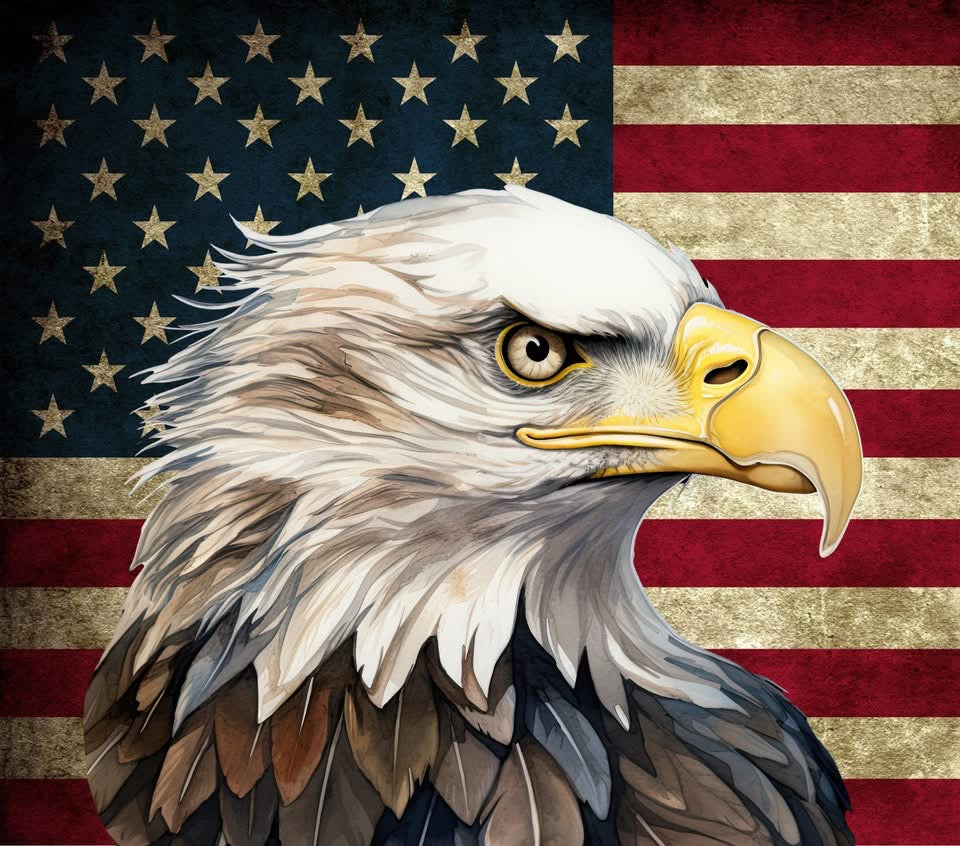 20 oz Tumbler - Rustic American Eagle - 2