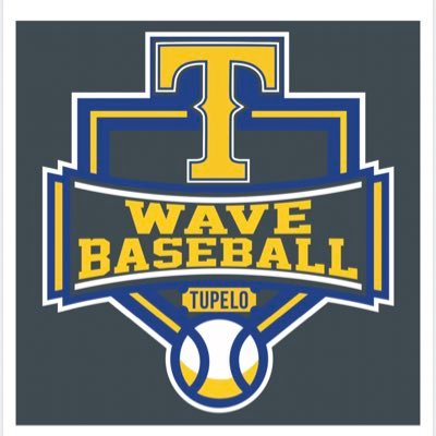 TUPELO WAVE BASEBALL LOGO ~ 20 oz TUMBLER
