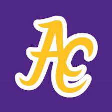 AC GOLD LOGO ON PURPLE BACKGROUND ~ 20 oz TUMBLER