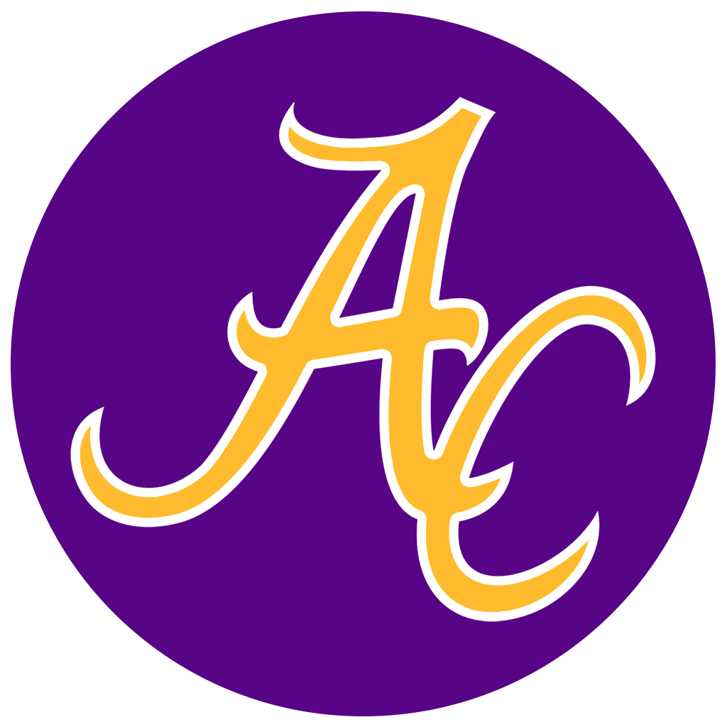 AC GOLD LOGO ON PURPLE CIRCLE ~ 20 oz TUMBLER