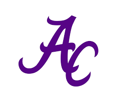 AC PURPLE LOGO ~ 20 oz TUMBLER