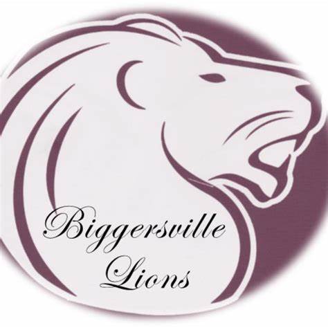 BIGGERSVILLE LOGO ~ 20 oz TUMBLER