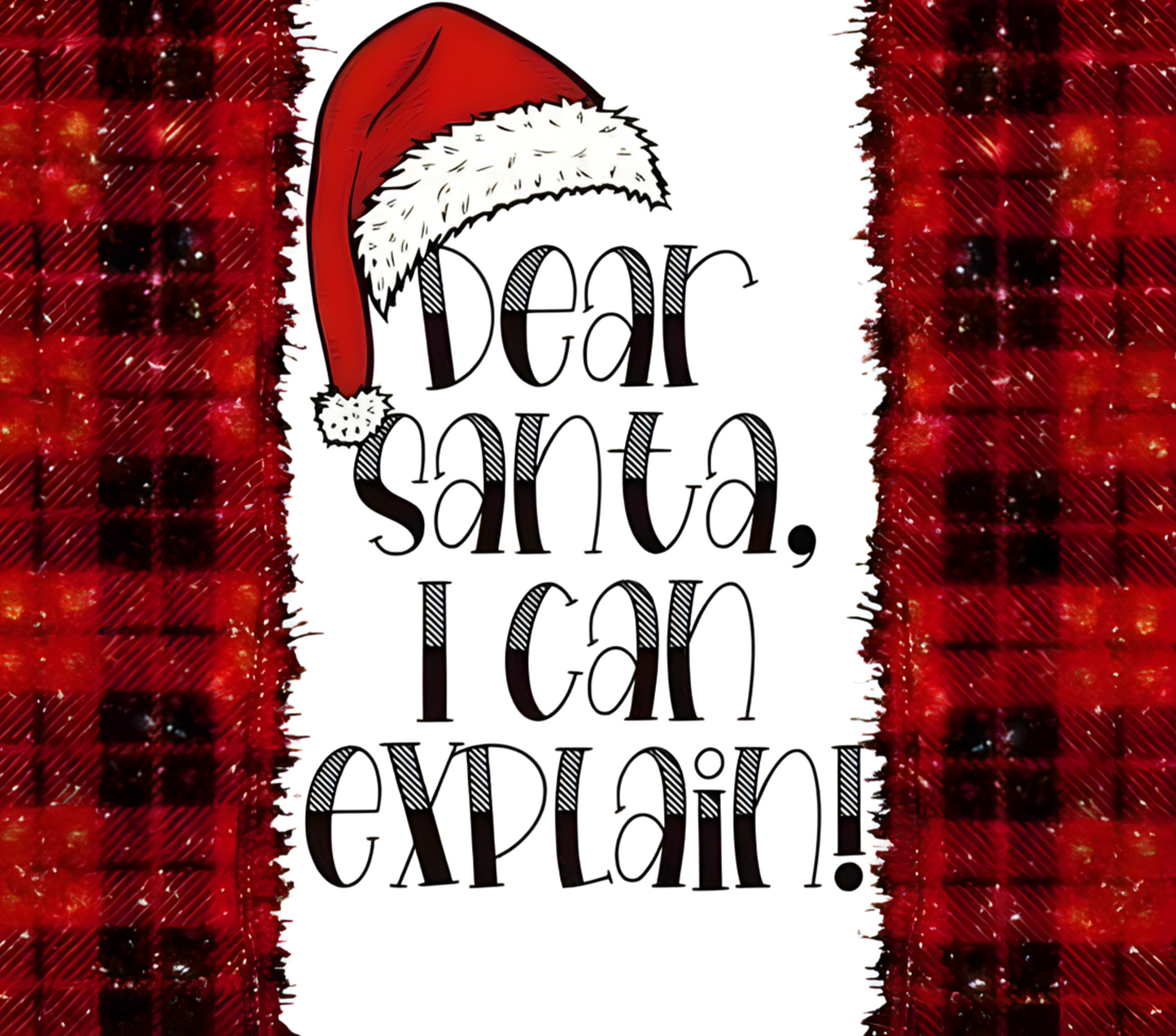 DEAR SANTA, I CAN EXPLAIN ~ 20 oz TUMBLER