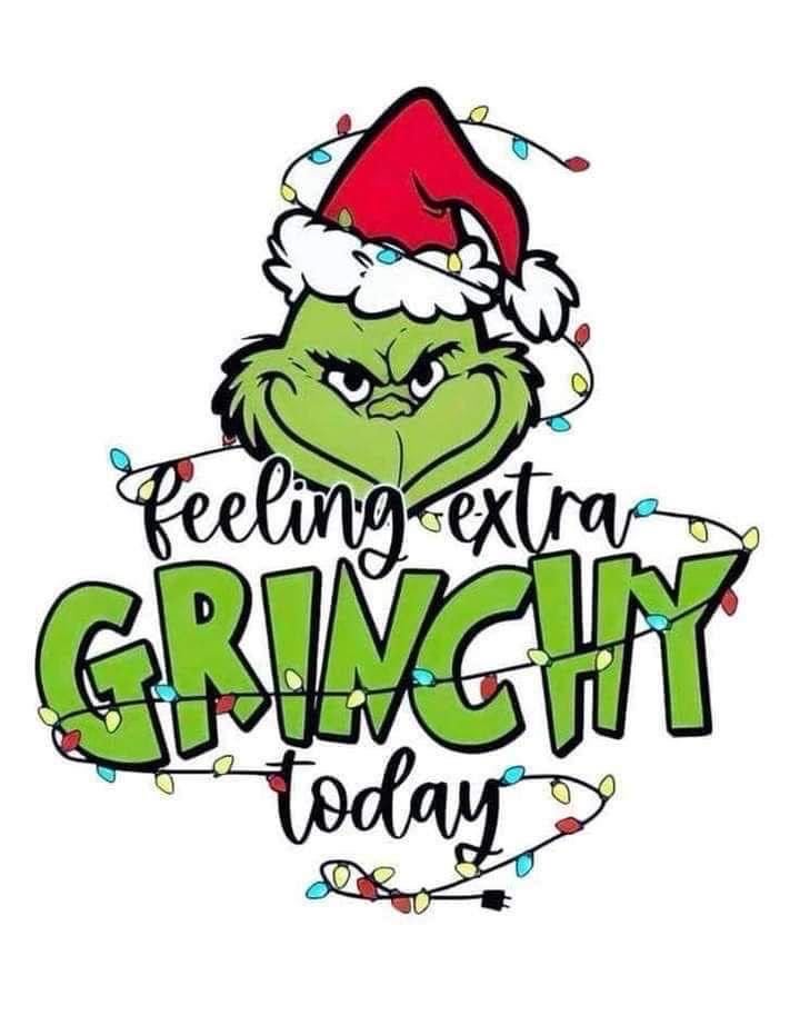 FEELING EXTRA GRINCHY TODAY 2 ~ 20 oz TUMBLER