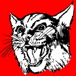 WALNUT WILDCATS LOGO ~ 20 oz TUMBLER