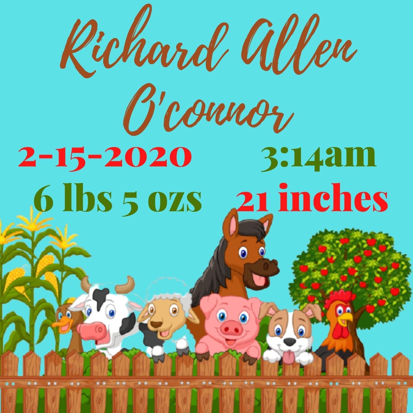 Personalized Baby Announcement